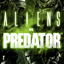 avp3