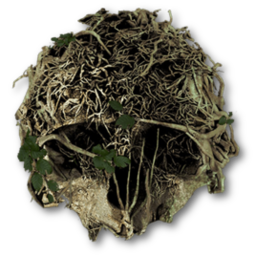 theforestds