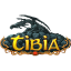 tibia